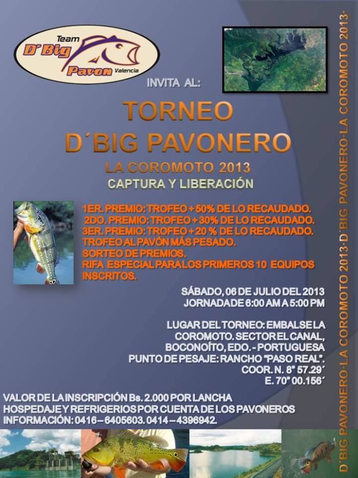 970615_115646895308884_1817150744_n