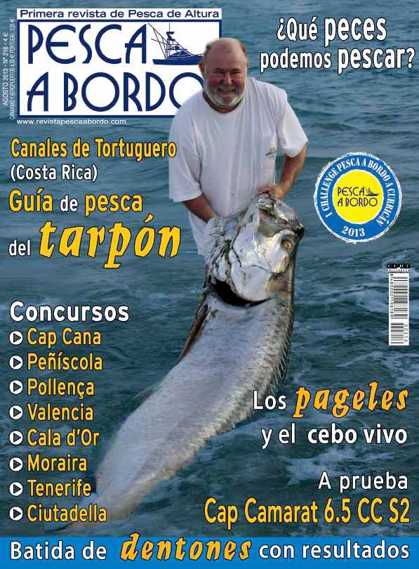 1000204_627692030588048_1759499234_n