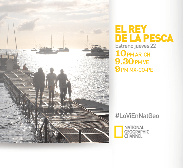 1148758_10151664126773451_390107799_n