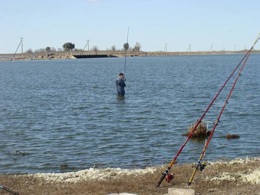 1175555_376918632410922_1009180546_n