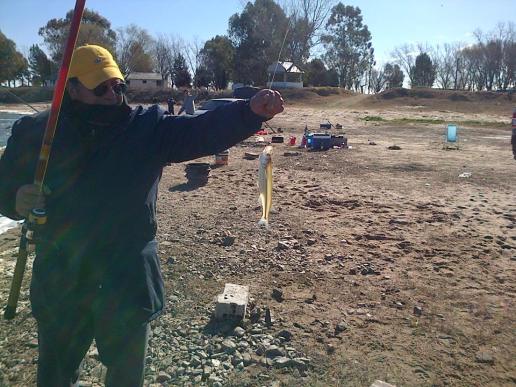 526861_376908425745276_1483406368_n