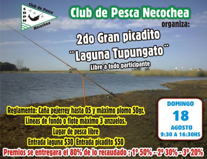 969448_10201789313201581_1662228204_n