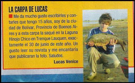 Carpa Lucas