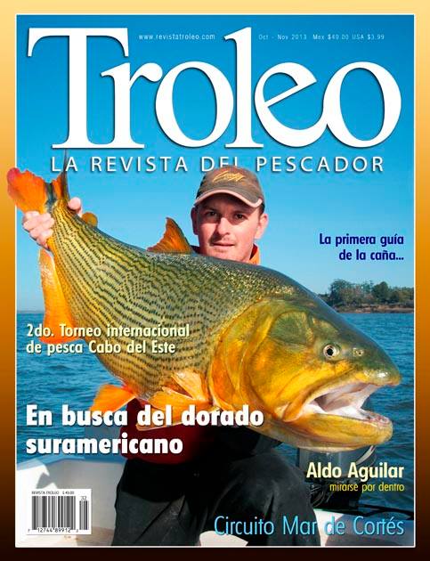 1395943_757915960888965_337589122_n