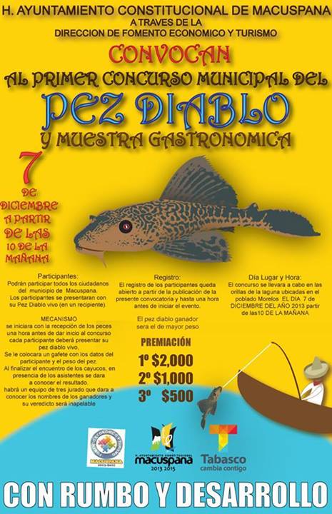 1422598_542319412524147_283026737_n