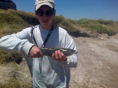 1466308_560006864078759_1526739995_n