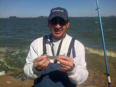 1479527_560006804078765_1990685537_n