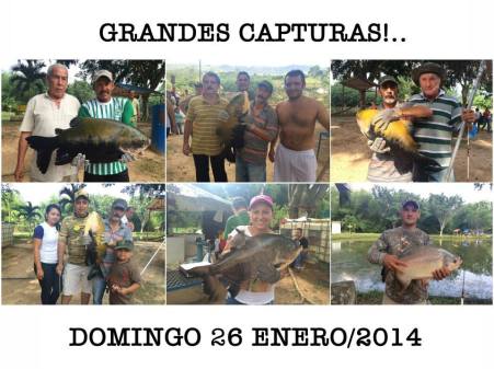 1601203_10201836613850988_2046900689_n