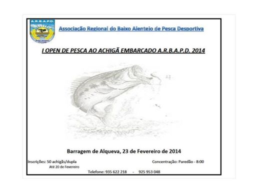 1779821_633200316727985_735178035_n