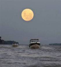 10513281_632457830177212_6677062734653997906_n