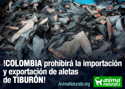 1506734_739555012729596_367325624_n