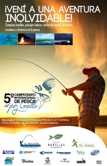 1798925_722636037760388_436252918_o