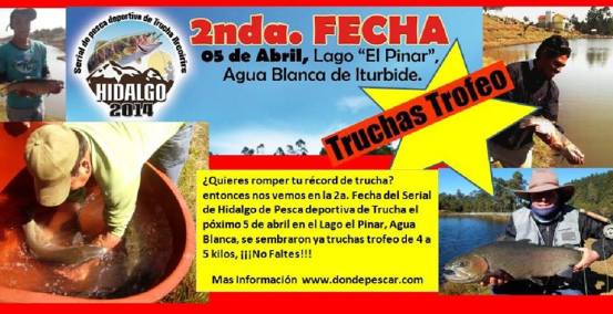 1897688_745357502170648_1792587874_n