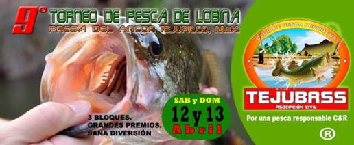 1913448_545457108885730_1382543974_o