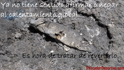 Calentamiento global