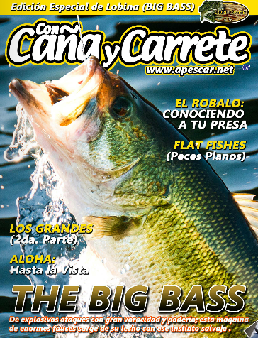 Revista ccc