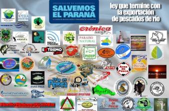 10917334_1549243348693112_7738971677078059538_n (1)