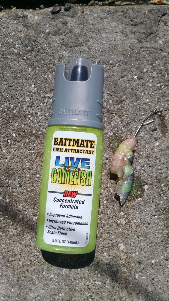 Feromonas colocada al camarón con sardina 