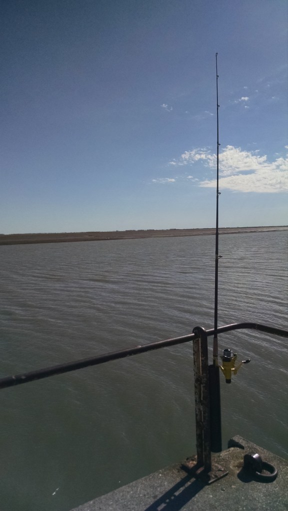 Mi caña (de fondo con camarón y sardina) 