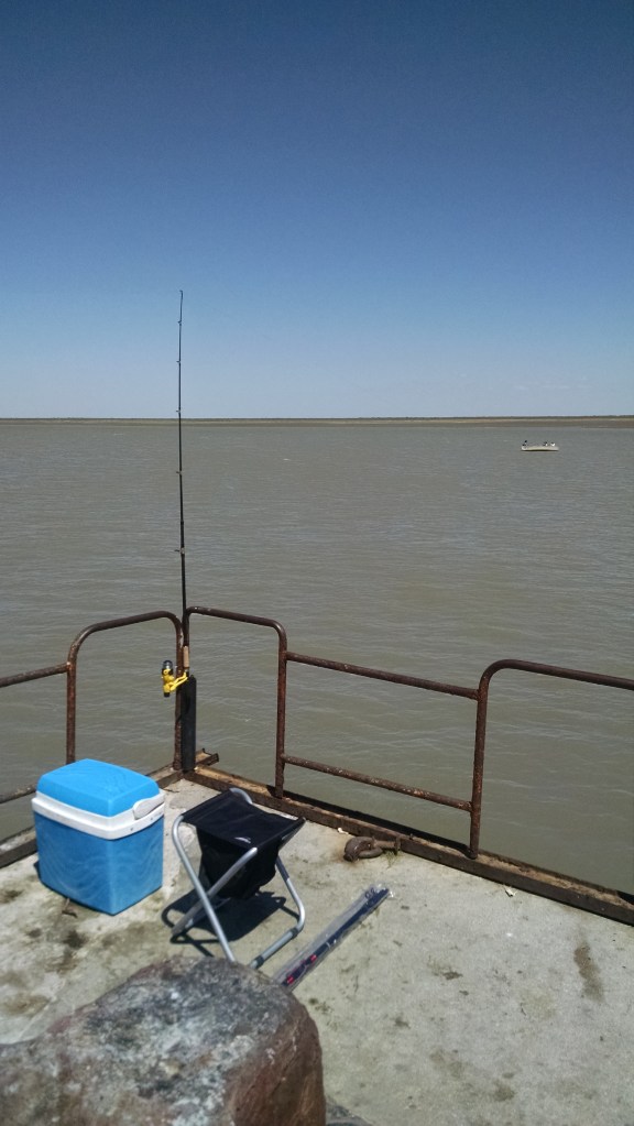 IMG_20150201_142612053