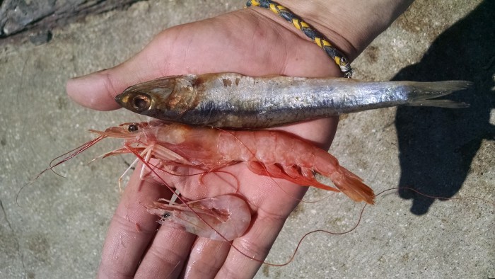 IMG_20150201_151222376