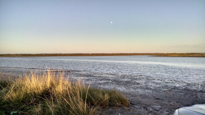 IMG_20150201_195454224_HDR