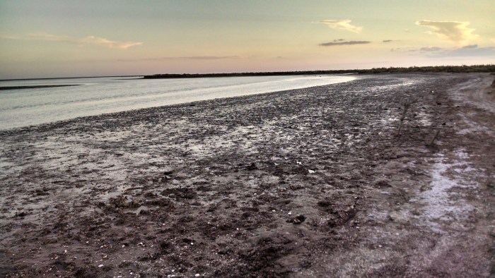 IMG_20150201_201343718_HDR