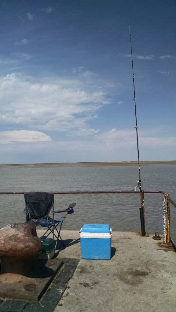 IMG_20150222_121801094