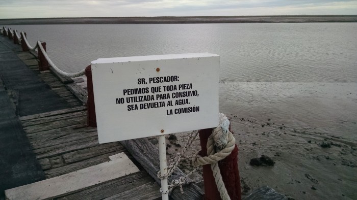 IMG_20150301_091144822