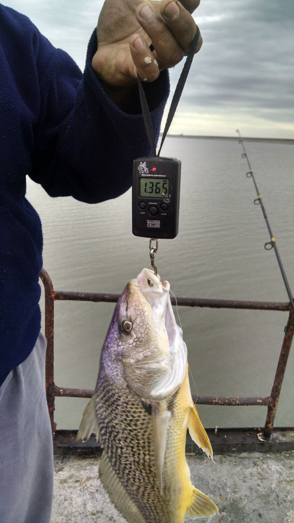 IMG_20150301_091809083_HDR