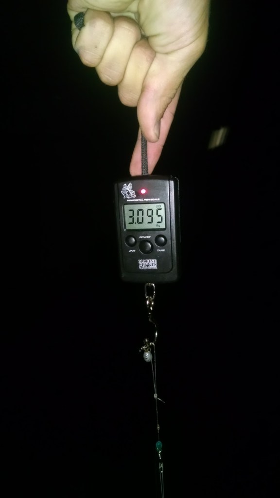 IMG_20150317_195537204[1]