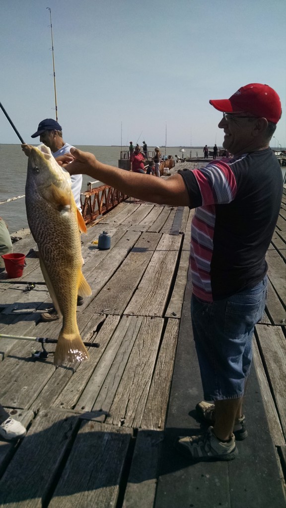 IMG_20150329_130645311