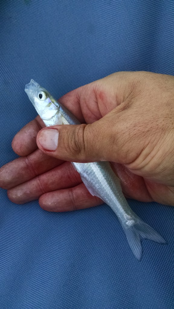 IMG_20150329_153039476