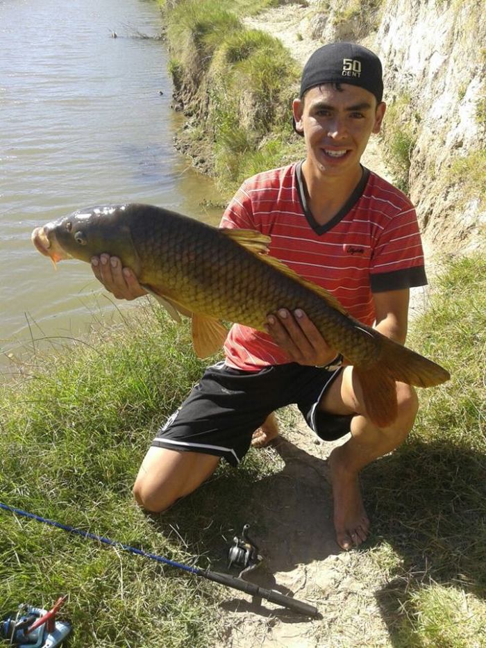 1009955_1564859487111671_6525783405080784865_n