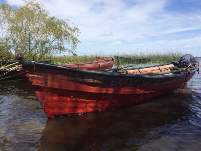 11150156_720815478037581_939858796843014374_n