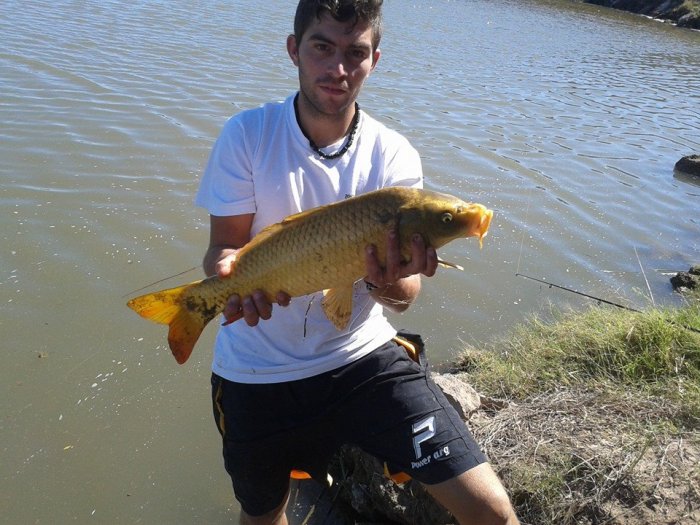 21155_1564858890445064_3806964605101369693_n