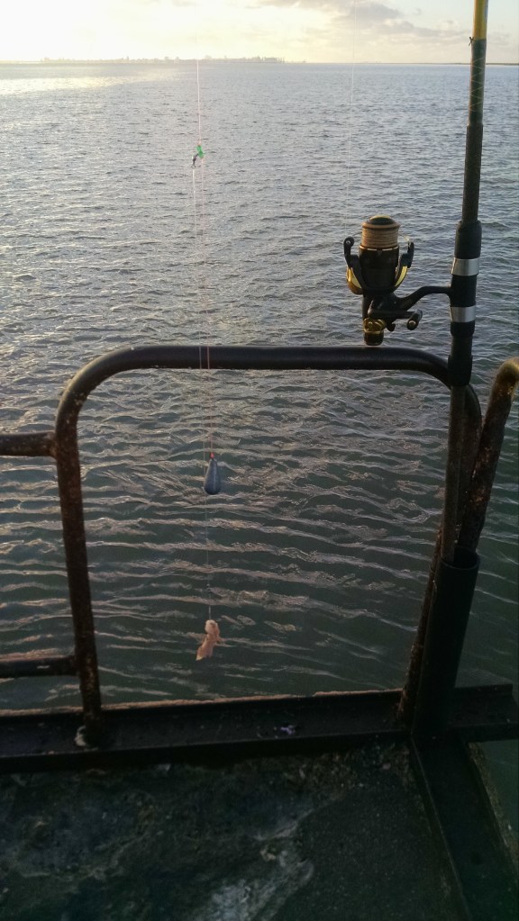 Aparejo de fondo con plomo de 150 gramos, anzuelo para variada n°3 y encarnando con langostino y anchoa, de vez en cuando turnando con camarón. Caña de 4 metros acción extrema, y reel cargado con nylon 0.35 mm y chicote de 45 mm