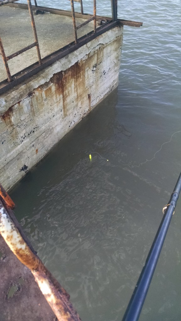 Aparejo con boya zanahoria, dos anzuelos de pejerrey n°1 (para evitar los que tienen tamaño de un dedo) y plomo de 15 gramos (la que deje a la boya en esa posición, que delata cuando un pez pica para arriba). Camarón de carnada 