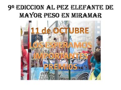 11244917_481496245350084_5987395599822656322_n