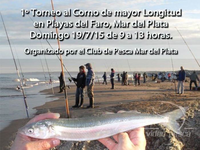 1508052_10203354644380372_3183697224000047265_n