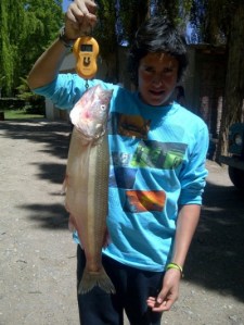 f400x0-37568_37586_142