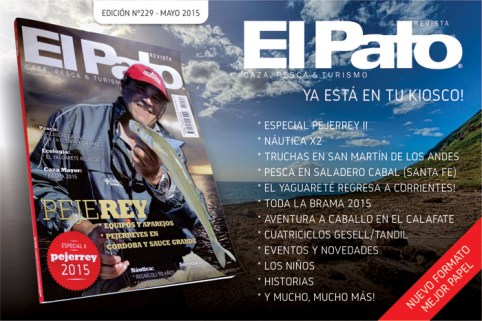 revista_sec (1)