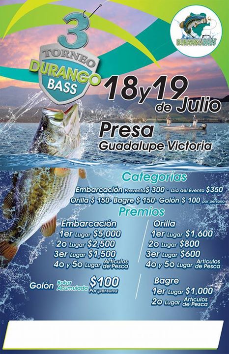 1453500_555755341233901_5210593170984736931_n