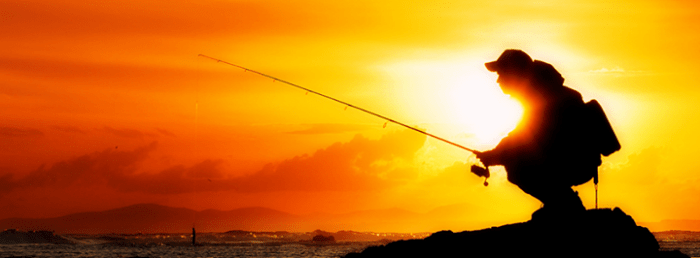 21000_873424322737010_1984216097554449474_n