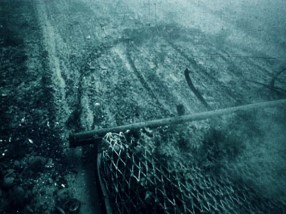 El impacto de la pesca de arrastre va mas allá de matar miles de especies de peces, sino que también aves, el fondo mismo, y todo lo que esta a su paso sufre un impacto desbastador. 