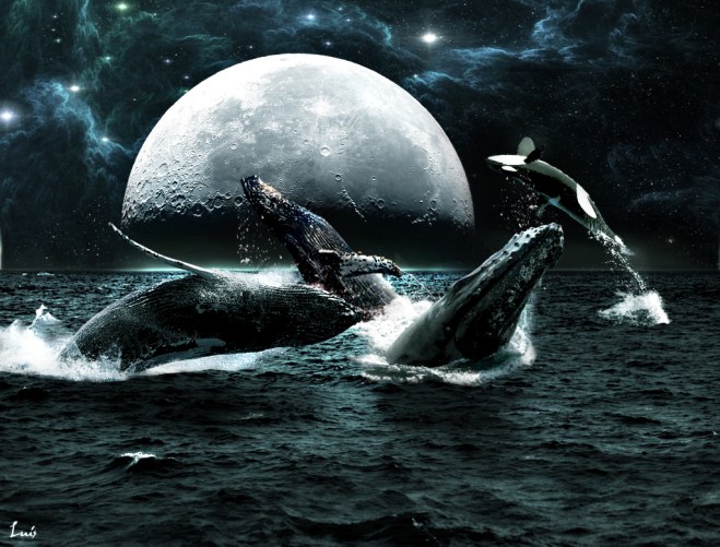 Muchas cosas perderán sentido si pierden vida las aguas. Y nosotros quedaremos mas que solos...