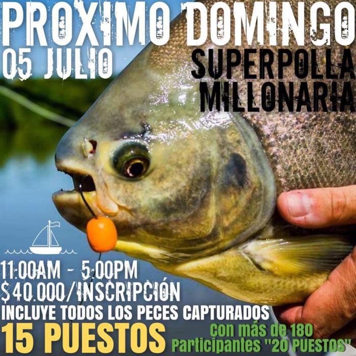 11698763_10205345669935197_1588266543106204091_n