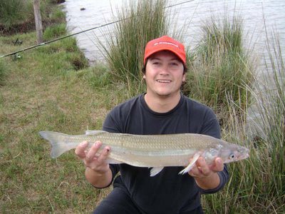 Enorme pejerrey de 1,8 kg pescado en la Salada.
