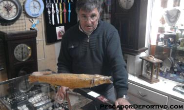 pejerrey-2490-y-neira