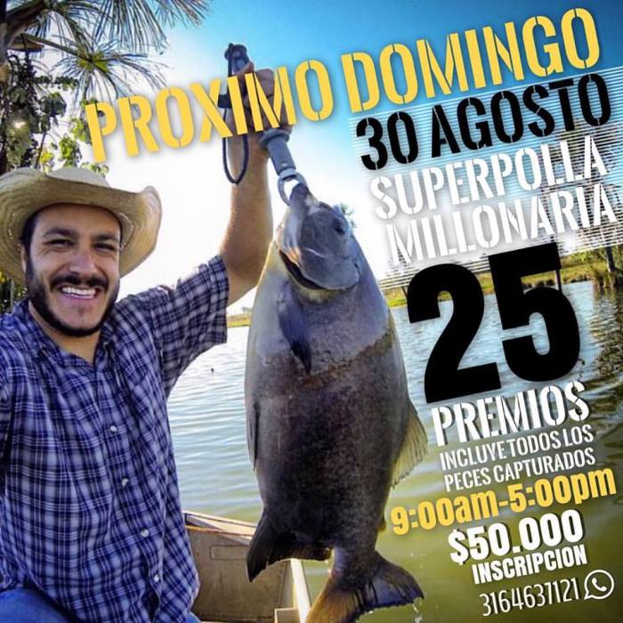 11959965_10205678016003641_6588474345797709304_n